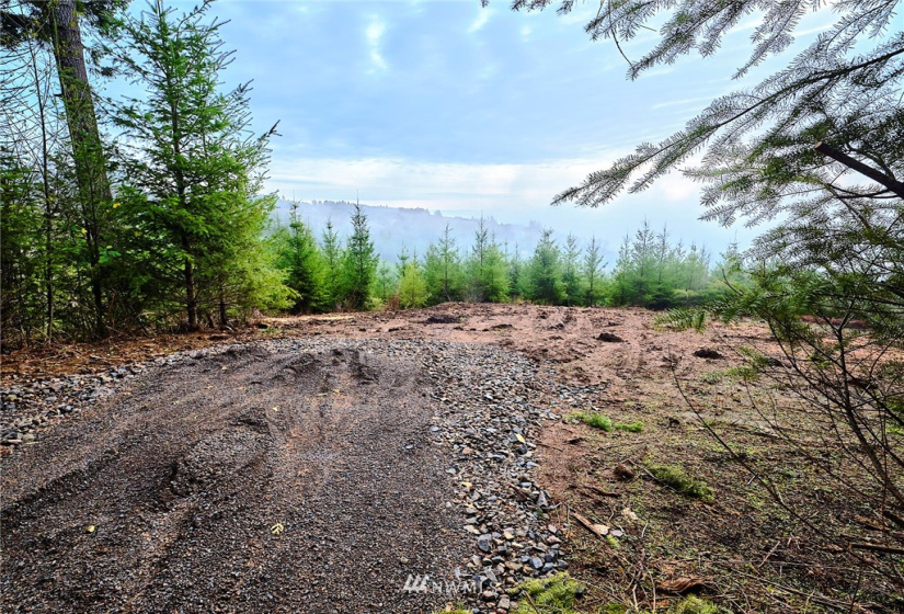 3109 Green Mountain, Kalama, Washington 98625, ,Land,For Sale,NA: Boundary Line Adjustment,Green Mountain,NWM1868210