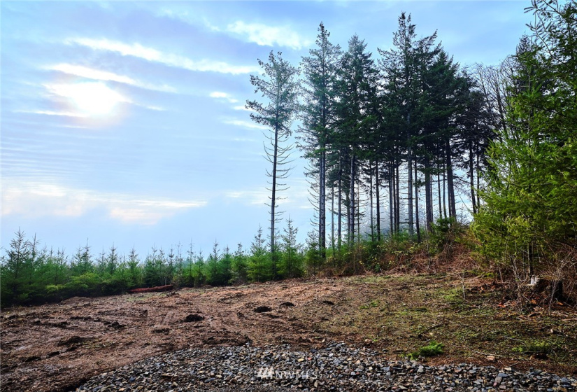 3109 Green Mountain, Kalama, Washington 98625, ,Land,For Sale,NA: Boundary Line Adjustment,Green Mountain,NWM1868210