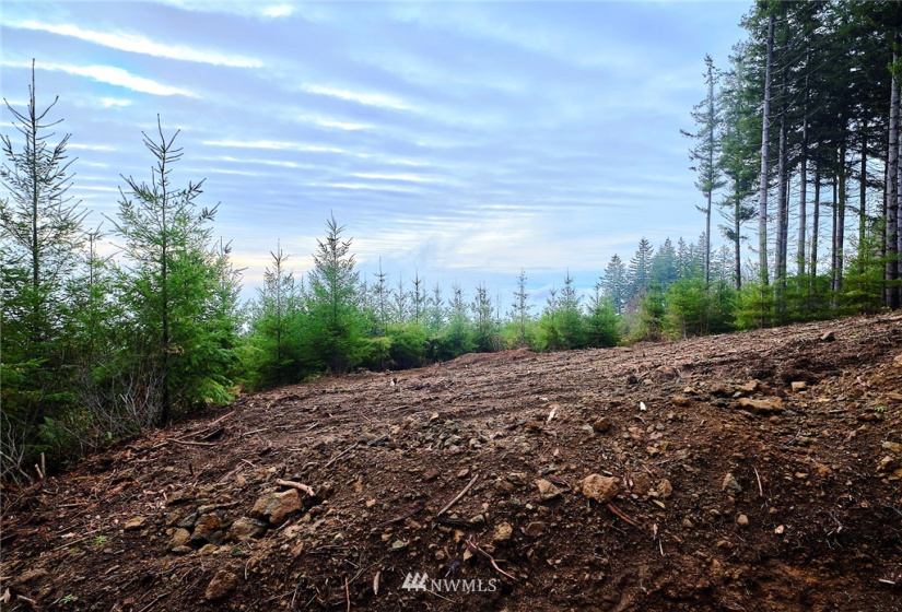 3109 Green Mountain, Kalama, Washington 98625, ,Land,For Sale,NA: Boundary Line Adjustment,Green Mountain,NWM1868210
