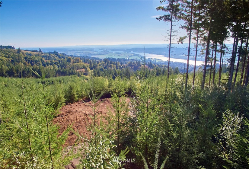3109 Green Mountain, Kalama, Washington 98625, ,Land,For Sale,NA: Boundary Line Adjustment,Green Mountain,NWM1868210