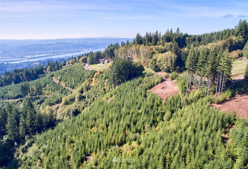 3105 Green Mountain, Kalama, Washington 98625, ,Land,For Sale,NA: Boundary Line Adjustment,Green Mountain,NWM1868209