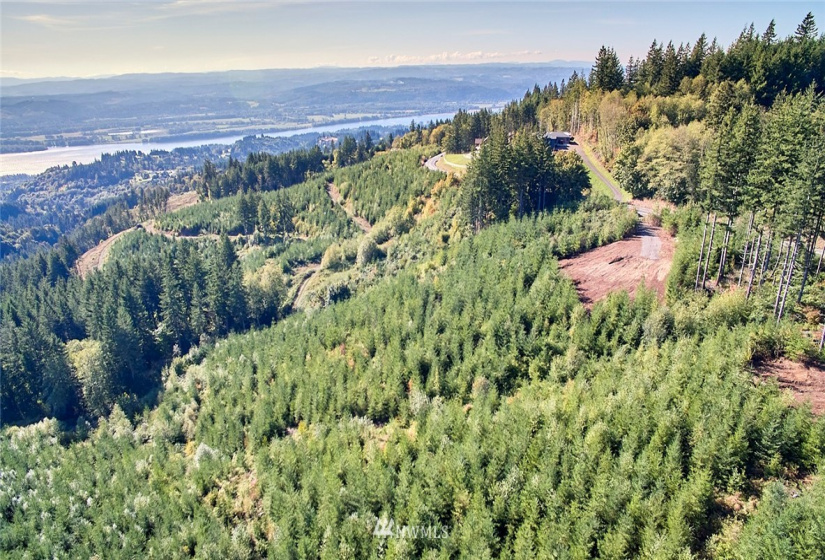 3105 Green Mountain, Kalama, Washington 98625, ,Land,For Sale,NA: Boundary Line Adjustment,Green Mountain,NWM1868209
