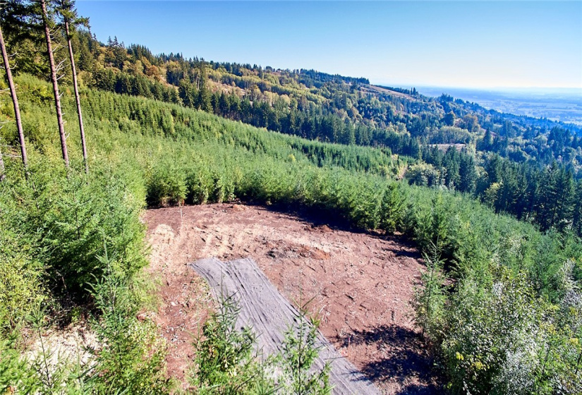 3105 Green Mountain, Kalama, Washington 98625, ,Land,For Sale,NA: Boundary Line Adjustment,Green Mountain,NWM1868209