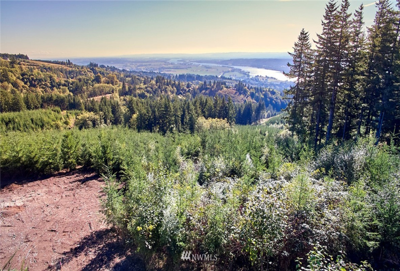 3105 Green Mountain, Kalama, Washington 98625, ,Land,For Sale,NA: Boundary Line Adjustment,Green Mountain,NWM1868209