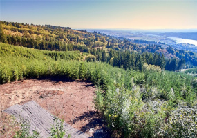 3105 Green Mountain, Kalama, Washington 98625, ,Land,For Sale,NA: Boundary Line Adjustment,Green Mountain,NWM1868209