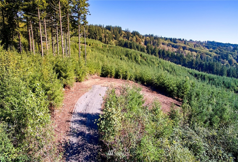 3105 Green Mountain, Kalama, Washington 98625, ,Land,For Sale,NA: Boundary Line Adjustment,Green Mountain,NWM1868209