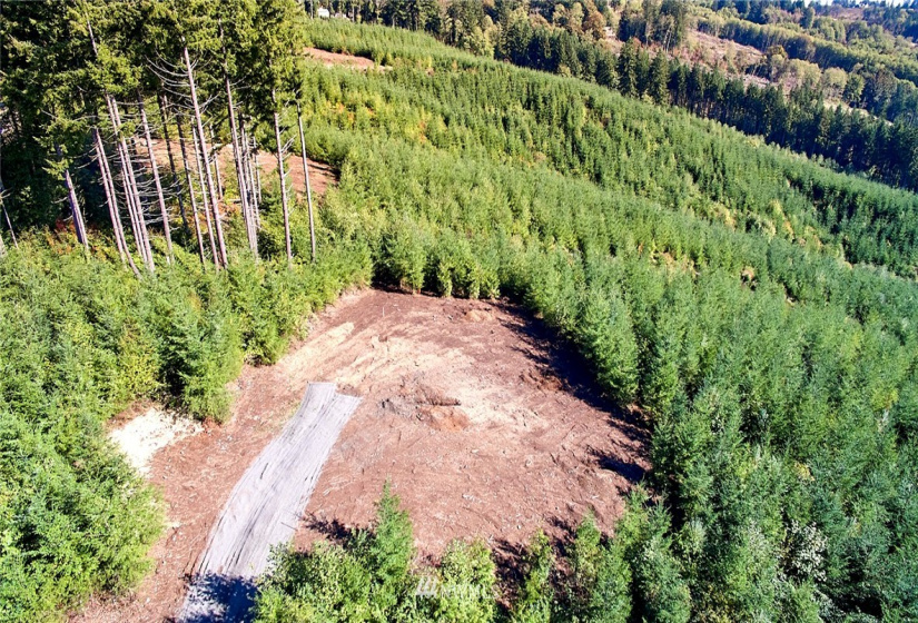 3105 Green Mountain, Kalama, Washington 98625, ,Land,For Sale,NA: Boundary Line Adjustment,Green Mountain,NWM1868209