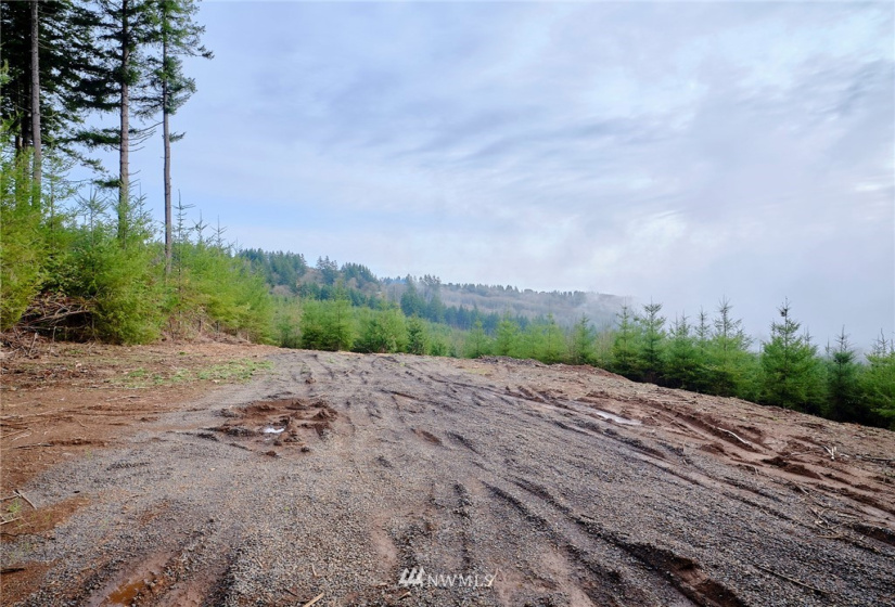 3105 Green Mountain, Kalama, Washington 98625, ,Land,For Sale,NA: Boundary Line Adjustment,Green Mountain,NWM1868209