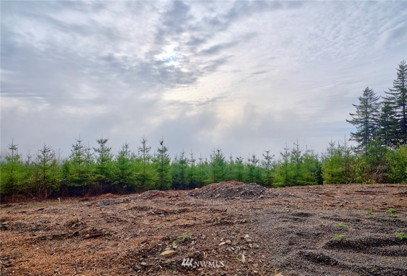 3105 Green Mountain, Kalama, Washington 98625, ,Land,For Sale,NA: Boundary Line Adjustment,Green Mountain,NWM1868209