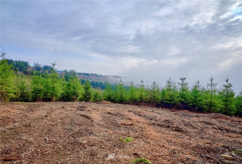 3105 Green Mountain, Kalama, Washington 98625, ,Land,For Sale,NA: Boundary Line Adjustment,Green Mountain,NWM1868209
