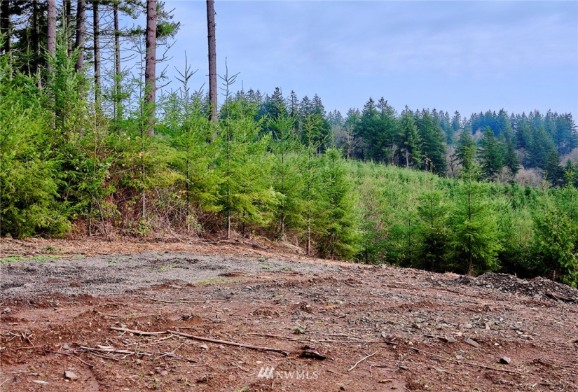 3105 Green Mountain, Kalama, Washington 98625, ,Land,For Sale,NA: Boundary Line Adjustment,Green Mountain,NWM1868209