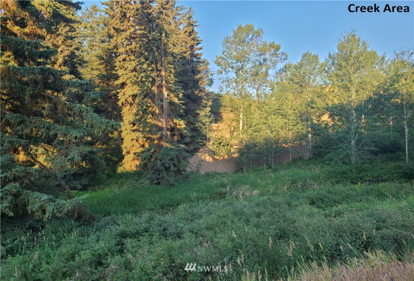 373 Mary Ann Creek #2, Oroville, Washington 98844, ,Land,For Sale,Mary Ann Creek #2,NWM1867505