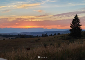 373 Mary Ann Creek #2, Oroville, Washington 98844, ,Land,For Sale,Mary Ann Creek #2,NWM1867505