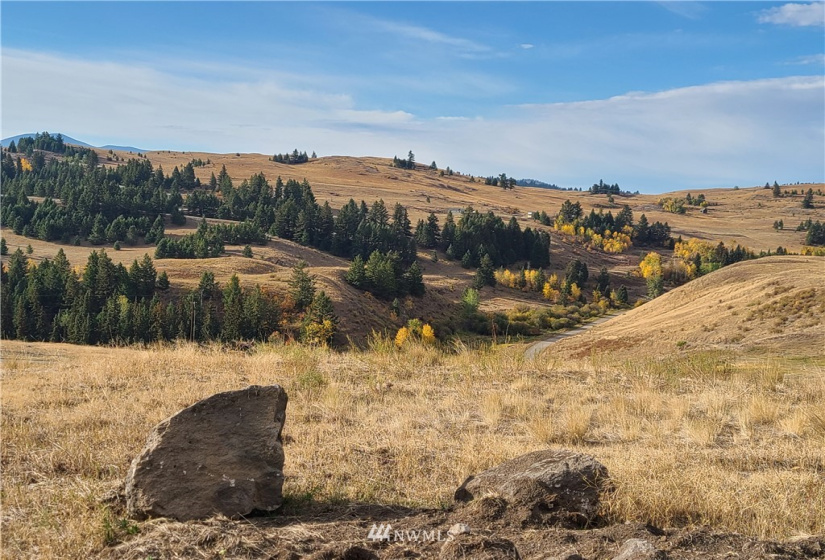 373 Mary Ann Creek #2, Oroville, Washington 98844, ,Land,For Sale,Mary Ann Creek #2,NWM1867505