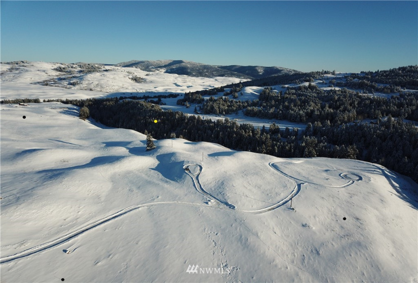 373 Mary Ann Creek #2, Oroville, Washington 98844, ,Land,For Sale,Mary Ann Creek #2,NWM1867505