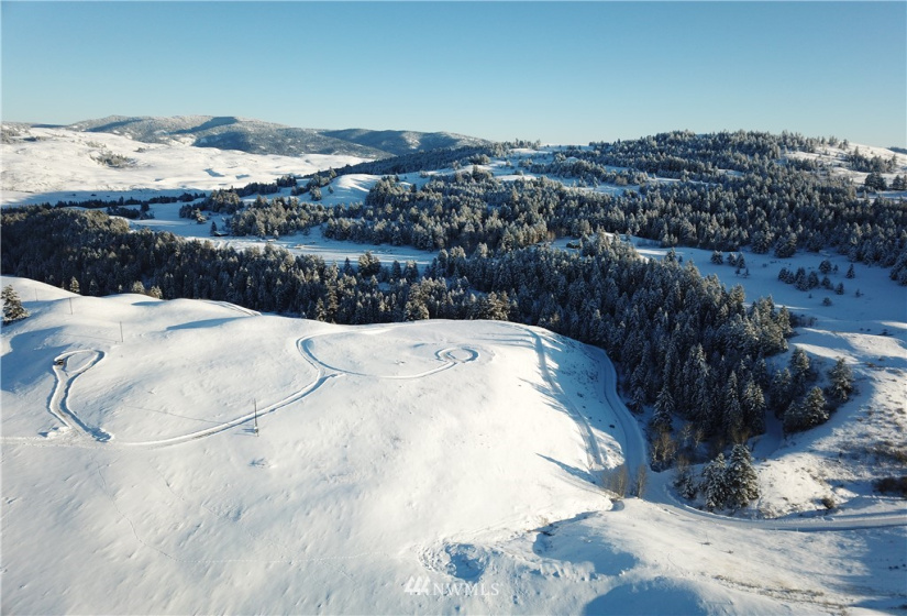 373 Mary Ann Creek #2, Oroville, Washington 98844, ,Land,For Sale,Mary Ann Creek #2,NWM1867505