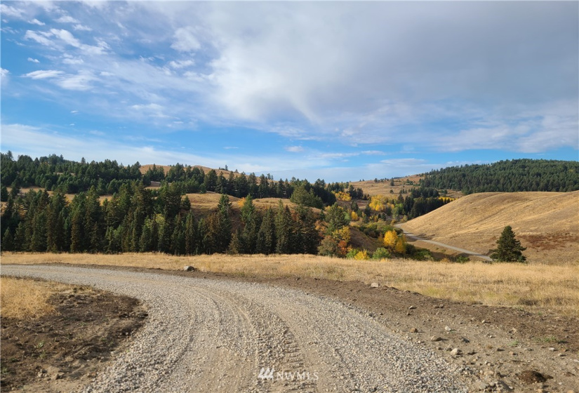 373 Mary Ann Creek #2, Oroville, Washington 98844, ,Land,For Sale,Mary Ann Creek #2,NWM1867505