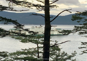 5 Pass View, Decatur Island, Washington 98211, ,Land,For Sale,Pass View,NWM1868382