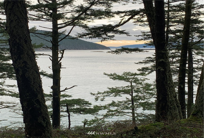 5 Pass View, Decatur Island, Washington 98211, ,Land,For Sale,Pass View,NWM1868382