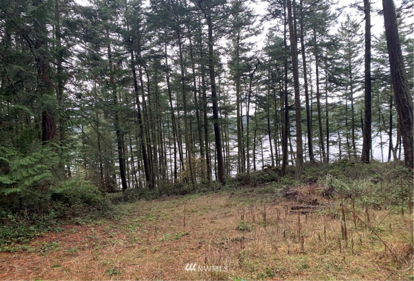 5 Pass View, Decatur Island, Washington 98211, ,Land,For Sale,Pass View,NWM1868382