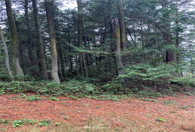 5 Pass View, Decatur Island, Washington 98211, ,Land,For Sale,Pass View,NWM1868382