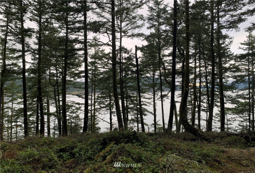 5 Pass View, Decatur Island, Washington 98211, ,Land,For Sale,Pass View,NWM1868382