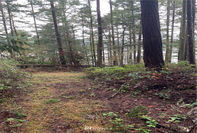 5 Pass View, Decatur Island, Washington 98211, ,Land,For Sale,Pass View,NWM1868382