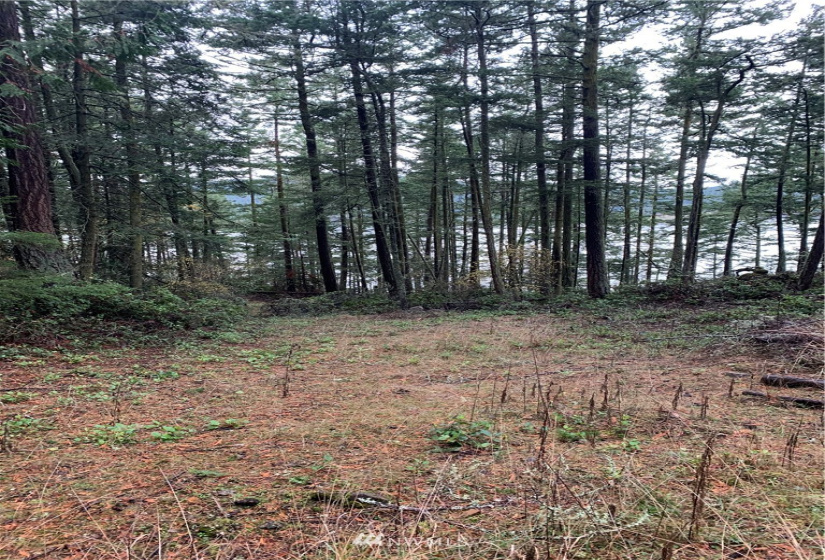 5 Pass View, Decatur Island, Washington 98211, ,Land,For Sale,Pass View,NWM1868382
