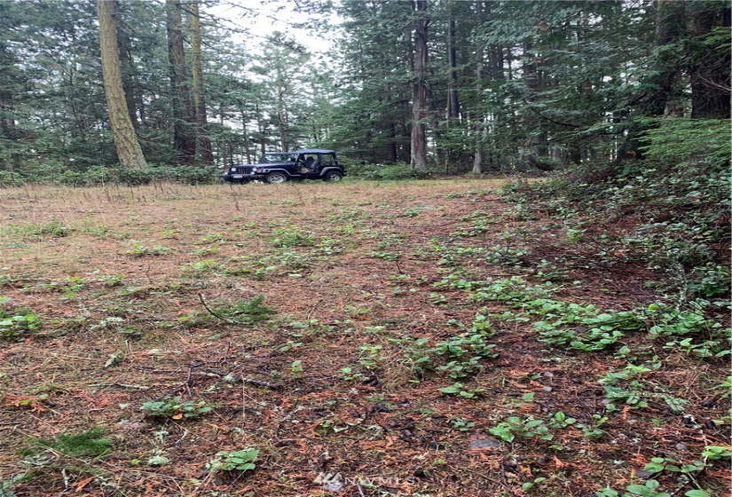 5 Pass View, Decatur Island, Washington 98211, ,Land,For Sale,Pass View,NWM1868382