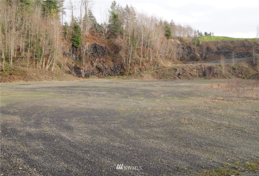350 Capital Ridge, Oakville, Washington 98568, ,Land,For Sale,Capital Ridge,NWM1868387