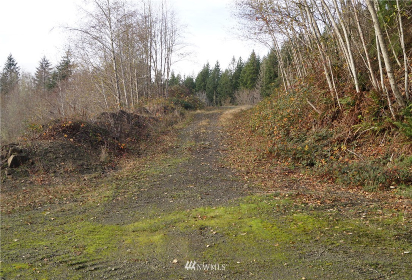 350 Capital Ridge, Oakville, Washington 98568, ,Land,For Sale,Capital Ridge,NWM1868387