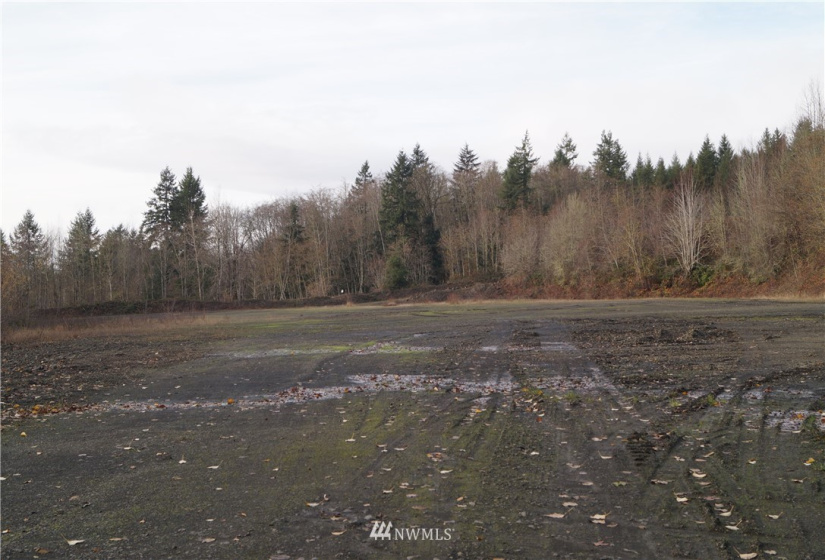 350 Capital Ridge, Oakville, Washington 98568, ,Land,For Sale,Capital Ridge,NWM1868387