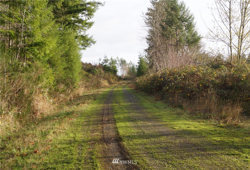 350 Capital Ridge, Oakville, Washington 98568, ,Land,For Sale,Capital Ridge,NWM1868387