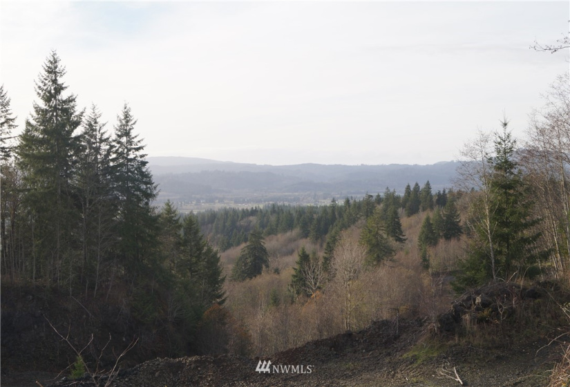 350 Capital Ridge, Oakville, Washington 98568, ,Land,For Sale,Capital Ridge,NWM1868387