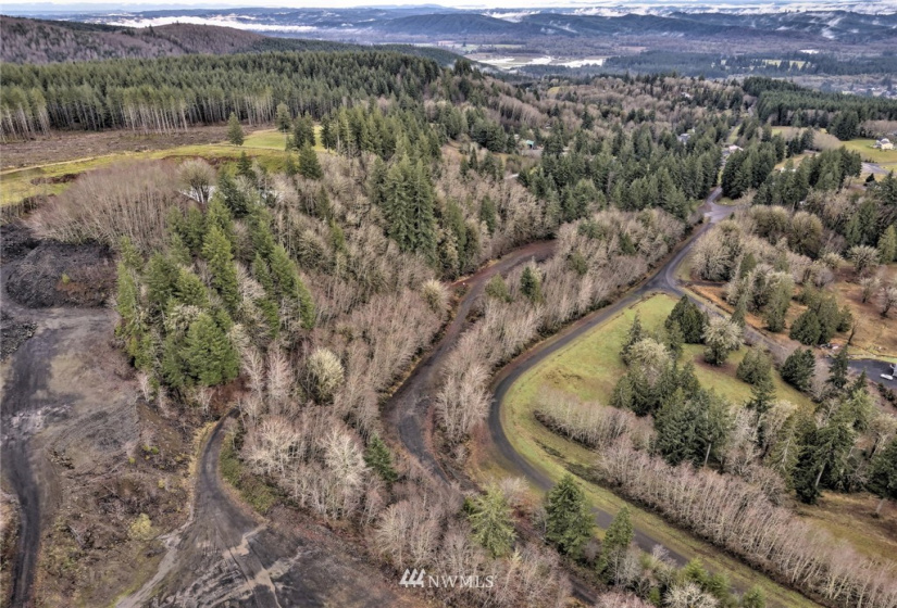 350 Capital Ridge, Oakville, Washington 98568, ,Land,For Sale,Capital Ridge,NWM1868387