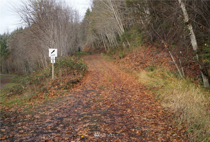 350 Capital Ridge, Oakville, Washington 98568, ,Land,For Sale,Capital Ridge,NWM1868387