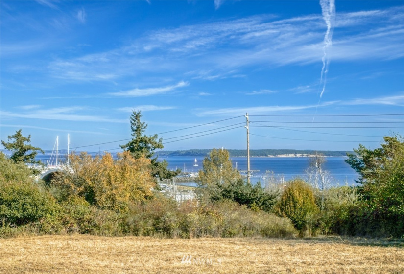 801 Jackman, Port Townsend, Washington 98368, ,Land,For Sale,Eisenbeis Addition,Jackman,NWM1868454