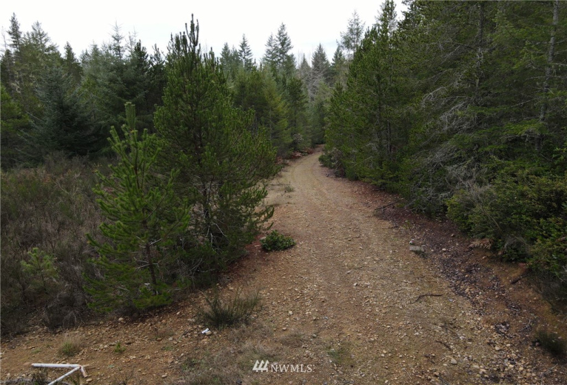 1311 Shoe Lake, Tahuya, Washington 98588, ,Land,For Sale,Shoe Lake,NWM1866858