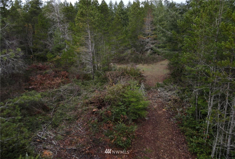 1311 Shoe Lake, Tahuya, Washington 98588, ,Land,For Sale,Shoe Lake,NWM1866858