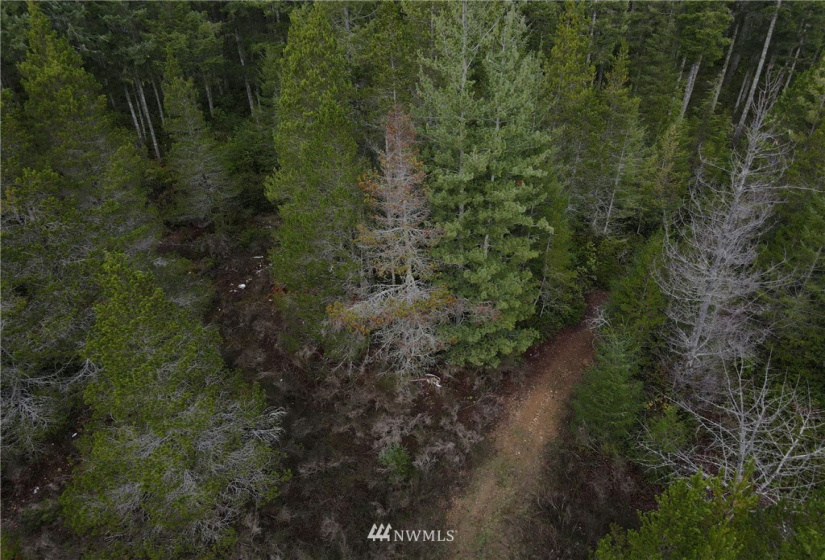 1311 Shoe Lake, Tahuya, Washington 98588, ,Land,For Sale,Shoe Lake,NWM1866858