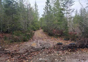 1311 Shoe Lake, Tahuya, Washington 98588, ,Land,For Sale,Shoe Lake,NWM1866858