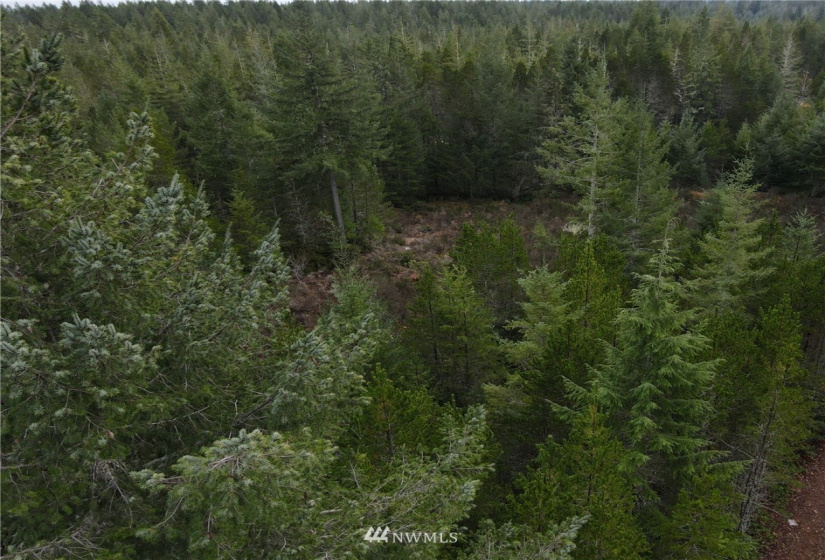 1311 Shoe Lake, Tahuya, Washington 98588, ,Land,For Sale,Shoe Lake,NWM1866858