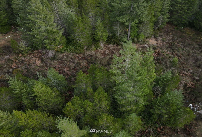 1311 Shoe Lake, Tahuya, Washington 98588, ,Land,For Sale,Shoe Lake,NWM1866858