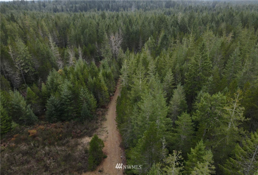 1311 Shoe Lake, Tahuya, Washington 98588, ,Land,For Sale,Shoe Lake,NWM1866858