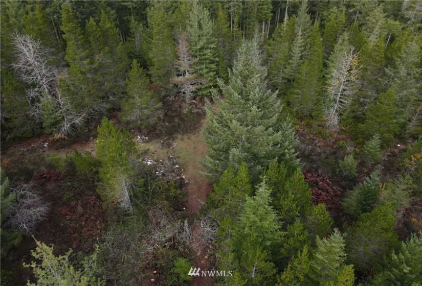1311 Shoe Lake, Tahuya, Washington 98588, ,Land,For Sale,Shoe Lake,NWM1866858