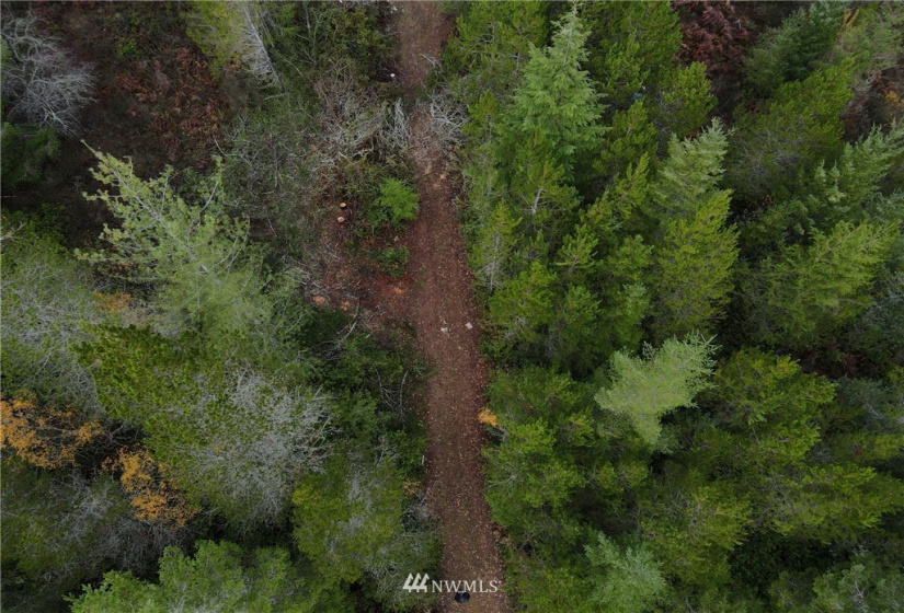 1311 Shoe Lake, Tahuya, Washington 98588, ,Land,For Sale,Shoe Lake,NWM1866858