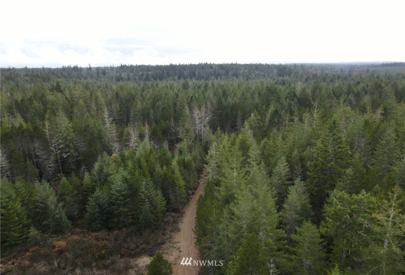 1311 Shoe Lake, Tahuya, Washington 98588, ,Land,For Sale,Shoe Lake,NWM1866858