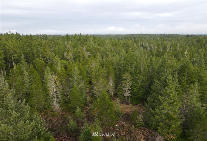 1311 Shoe Lake, Tahuya, Washington 98588, ,Land,For Sale,Shoe Lake,NWM1866858