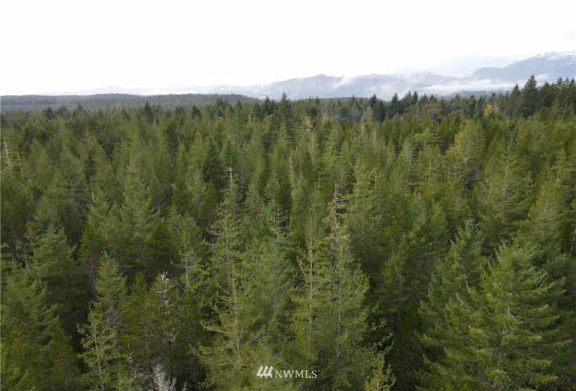 1311 Shoe Lake, Tahuya, Washington 98588, ,Land,For Sale,Shoe Lake,NWM1866858