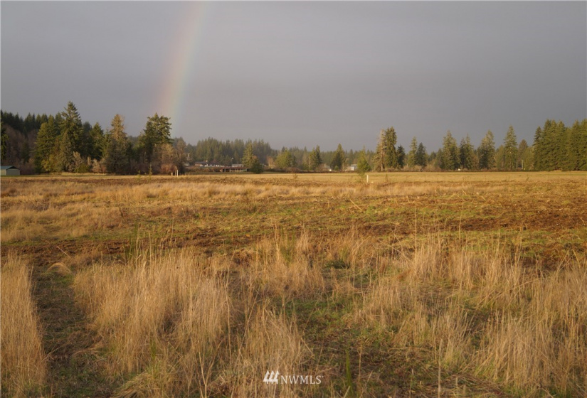 649 Middle Satsop, Montesano, Washington 98563, ,Land,For Sale,Middle Satsop,NWM1868556